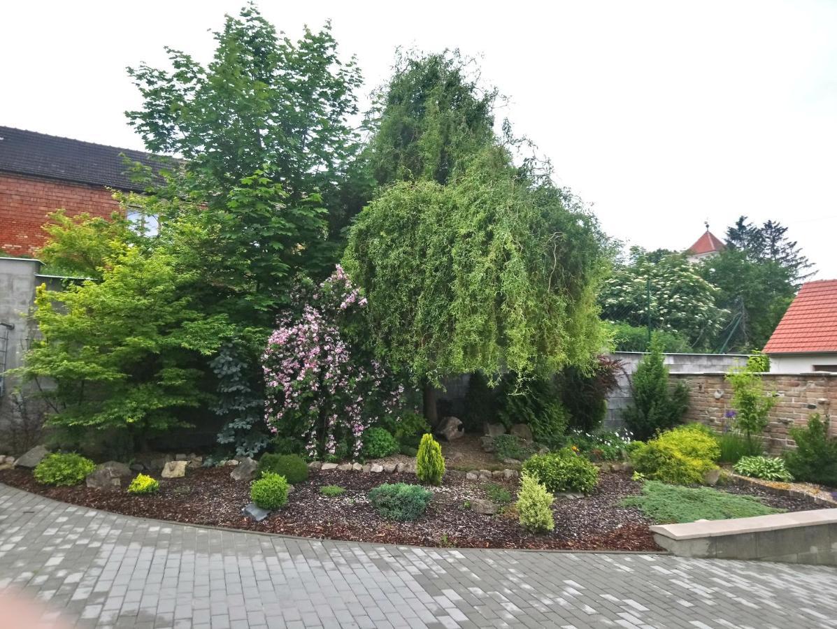 Chata Anca Němčičky Exterior foto